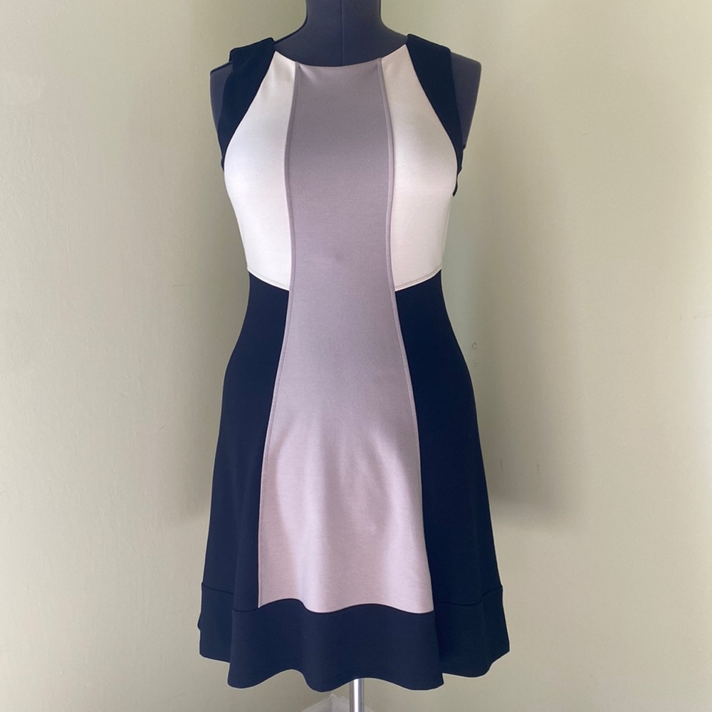 Roz & Ali Color Block Dress